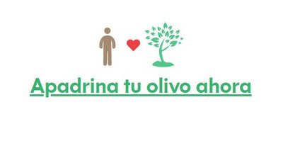 ADOPTA UN OLIVO