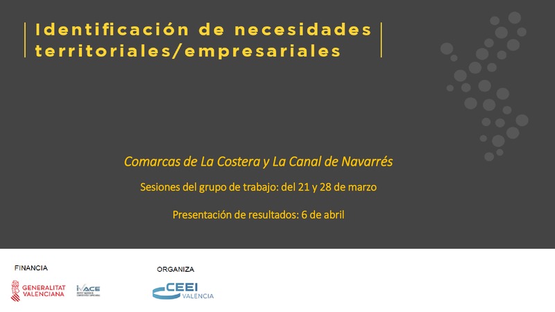 Fase 2 Identificacin Necesidades Territoriales y Empresariales