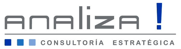 ANALIZA, Consultora Estratgica