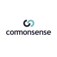 Common Sense Finance