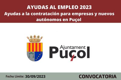 Ayudas ayuntmiento de Puol