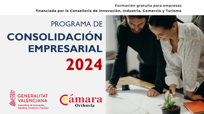 PROGRAMA CONSOLIDACIN