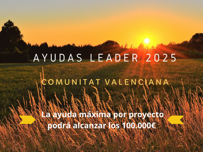 AYUDAS LEADER 2025