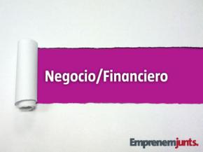 Aspectos clave del modelo y plan de negocio para la bsqueda de financiacin