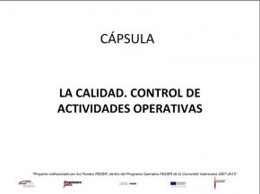 La calidad. Control de actividades operativas