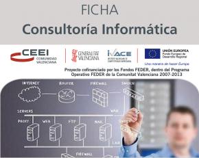 Consultora informtica