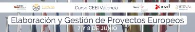 Banner Curso Elaboracin y Gestin de Proyectos Europeos