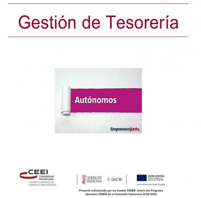 Manual para Autnomos: Gestin de la Tesorera