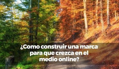 Como construir una marca para que crezca en el medio online?