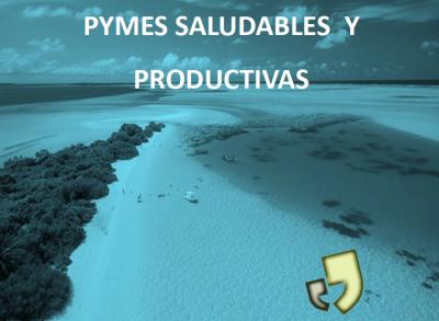 Pymes saludables y productivas