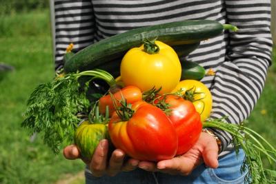 Taller de creaci dempreses per a emprenedors agroalimentaris