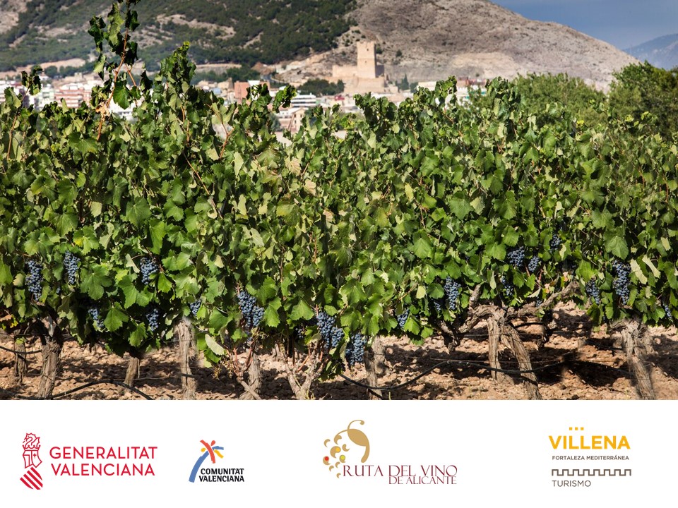 VI JORNADA PROFESIONAL DE ENOTURISMO COMUNITAT VALENCIANA - #CreaTurisme