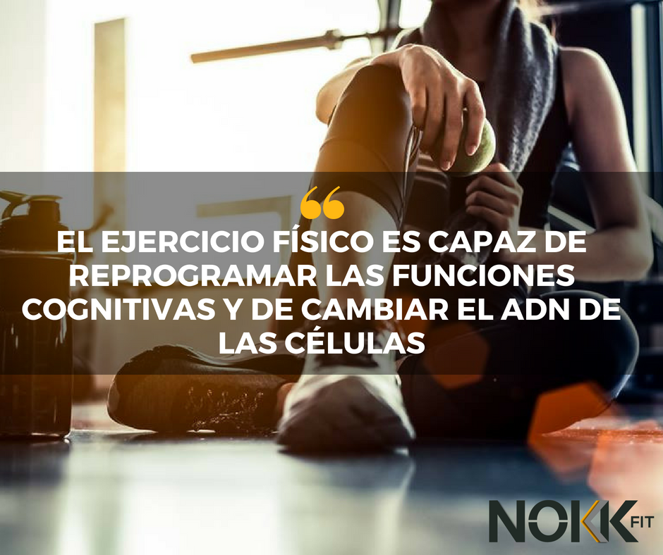 NOKK FIT , tu healtly lifestyle club en Calpe.