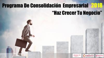 Plan Consolidacin empresarial 