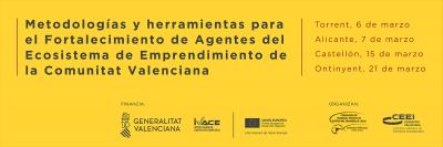 Sesiones programa fortalecimiento agentes