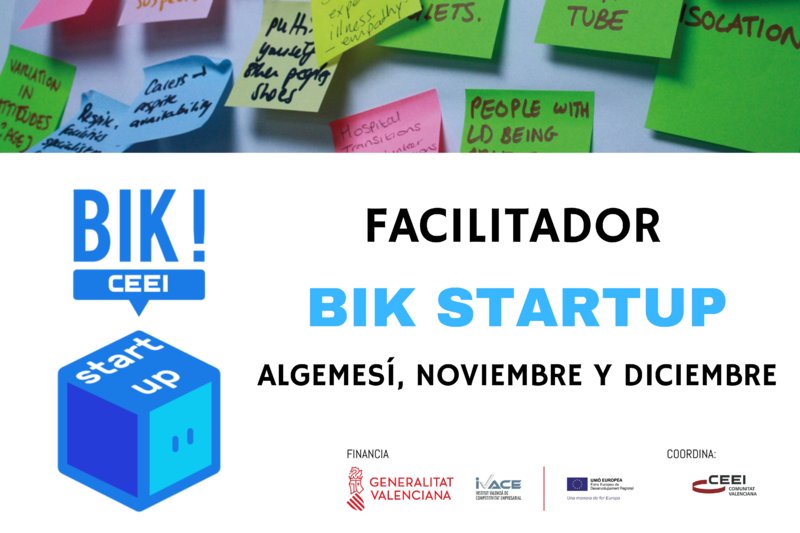 Falicitador BIK Startup Algemes