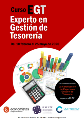 Curso Experto en Gestin de Tesorera (Presencial)