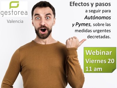 webinar virnes 20 marzo