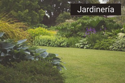 Jardines verdes