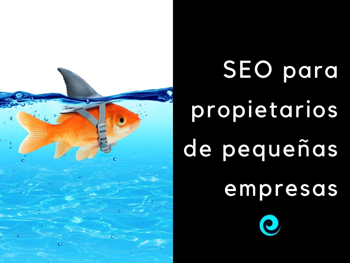 Gua de SEO para propietarios de pequeas empresas