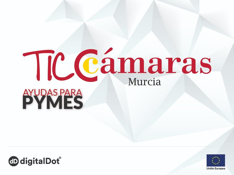 AYUDAS A PYMES TICCMARAS 2020