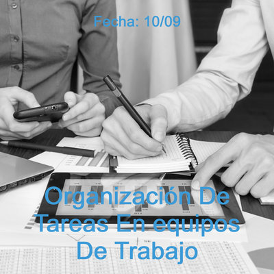 organizacin de tareas en equipo