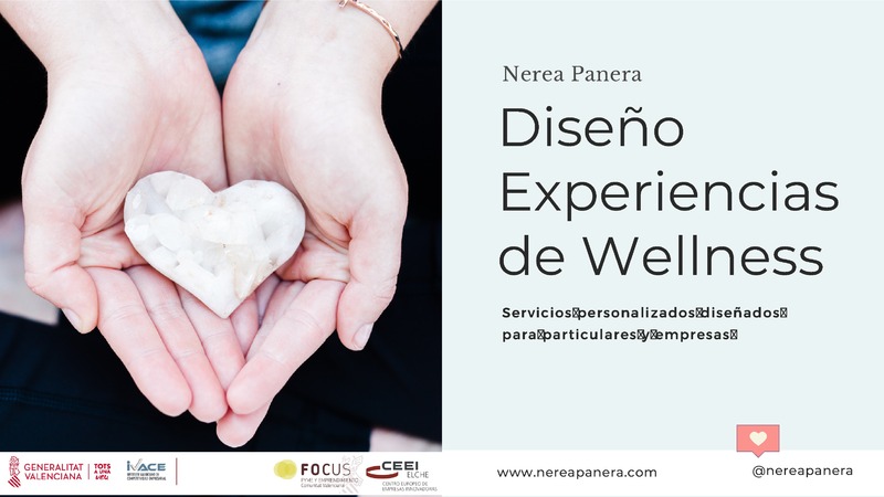 Nerea Panera - Diseo Experiencias de Wellness (Portada)