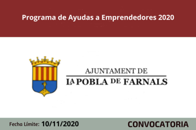 Programa de Ayudas a Emprendedores 2020