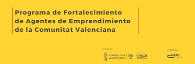 Programa Fortalecimiento Agentes CEEI Elche