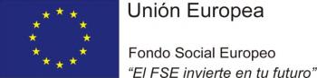 Unin Europea FSE