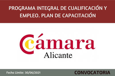 Programa Integral de Cualificacin y Empleo. Plan de Capacitacin