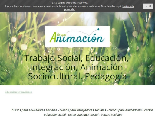 Educadores Familiares - Cursos Trabajo Social y Educacion