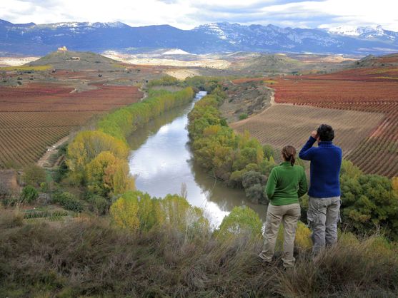 Ni Ezcaray ni Calahorra: este es el pueblo de La Rioja que acaba de ganar el premio 'Tierra de Oportunidades'