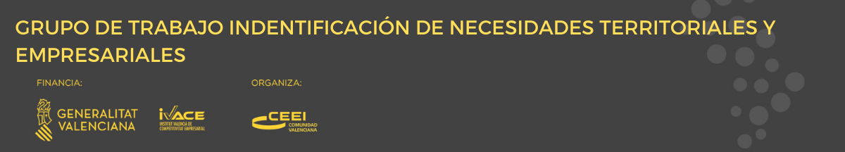 Grupo de Trabajo Identificacin Necesidades Territoriales y Empresariales